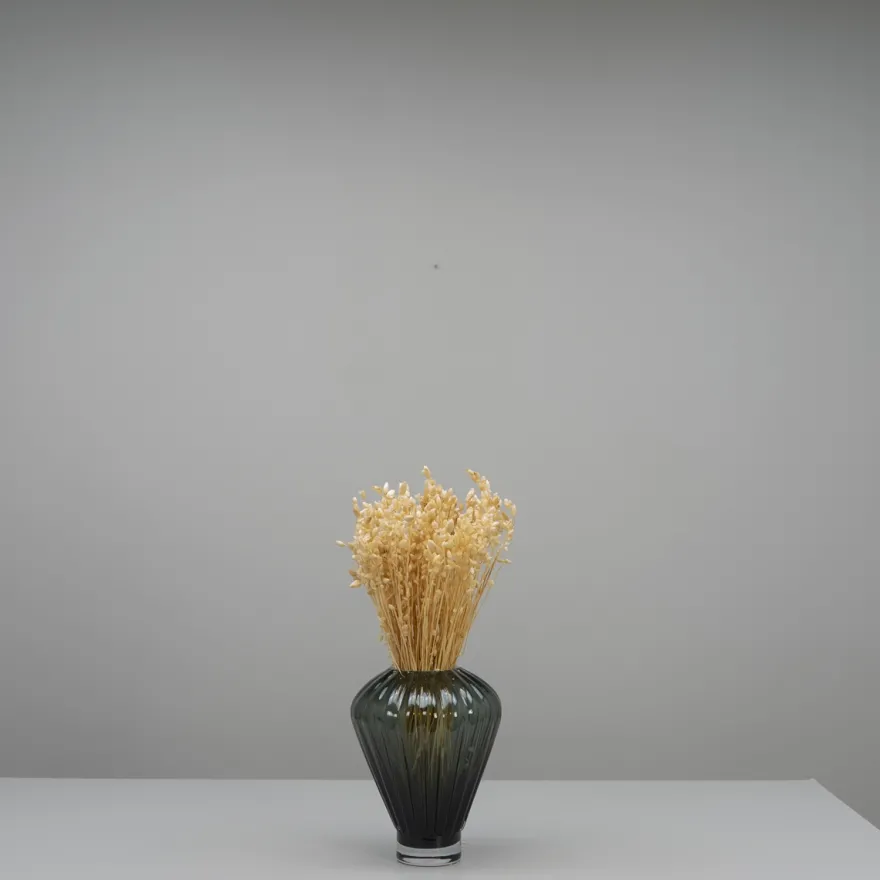 Tørrede Blomster - Briza Maxima, Cremehvid