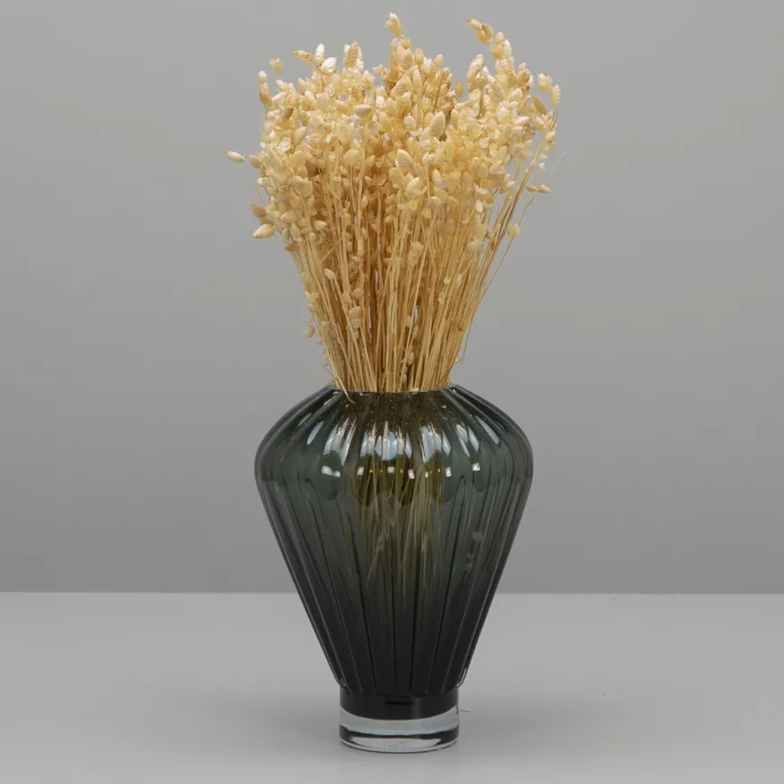 Tørrede Blomster - Briza Maxima, Cremehvid