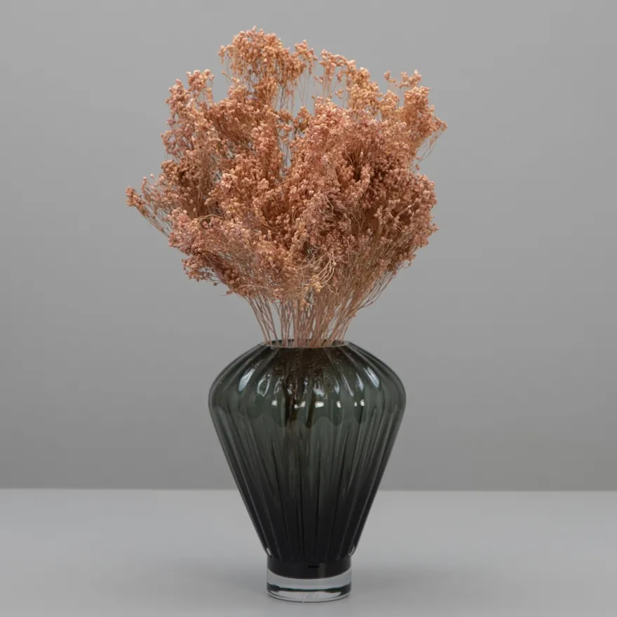 Tørrede Blomster - Broom Bloom, Powder Pink