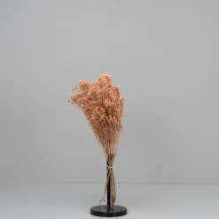 Tørrede Blomster - Broom Bloom, Powder Pink