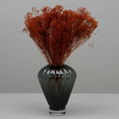 Tørrede Blomster - Broom Bloom, Terracotta