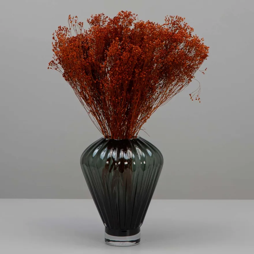 Tørrede Blomster - Broom Bloom, Terracotta