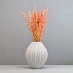 Tørrede Blomster - Enggræs, Light Pink