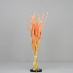 Tørrede Blomster - Enggræs, Light Pink