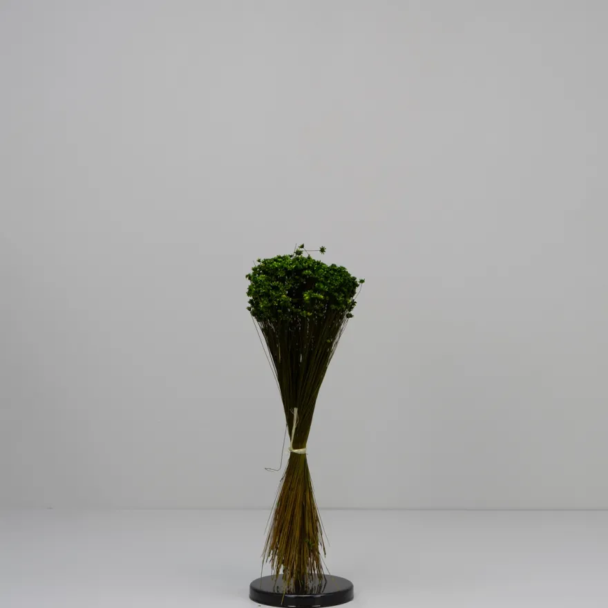 Tørrede Blomster - Glixia, Grøn
