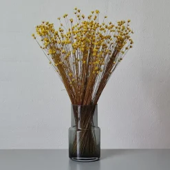 Tørrede Blomster - Glixia, Gul