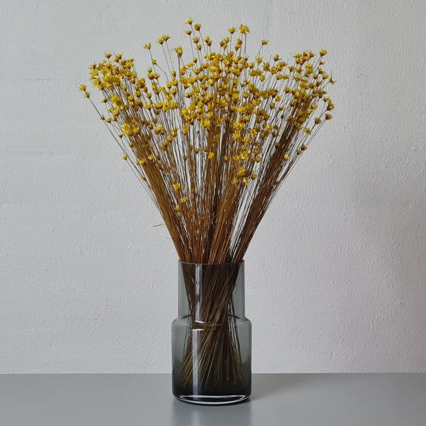 Tørrede Blomster - Glixia, Gul