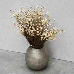 Tørrede Blomster - Glixia, hvid