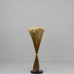 Tørrede Blomster - Glixia, hvid