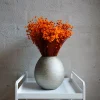 Tørrede Blomster - Glixia, Orange