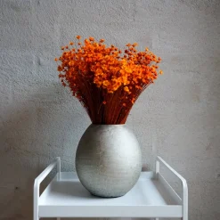 Tørrede Blomster - Glixia, Orange
