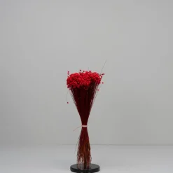 Tørrede Blomster - Glixia, Rød