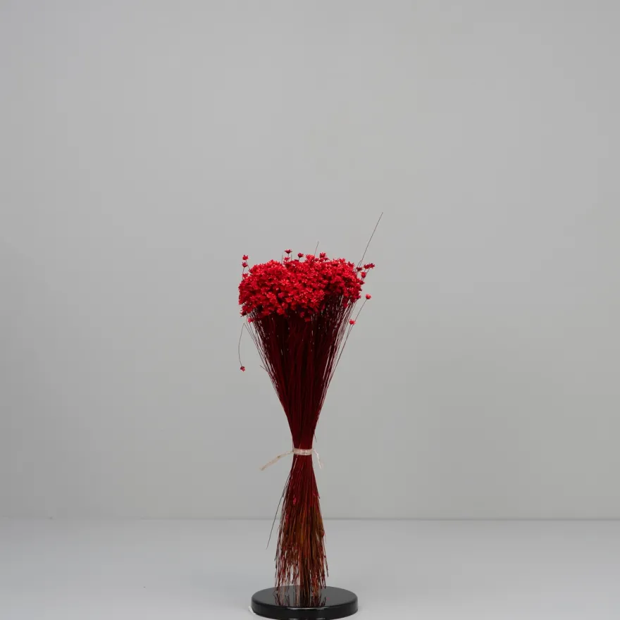 Tørrede Blomster - Glixia, Rød
