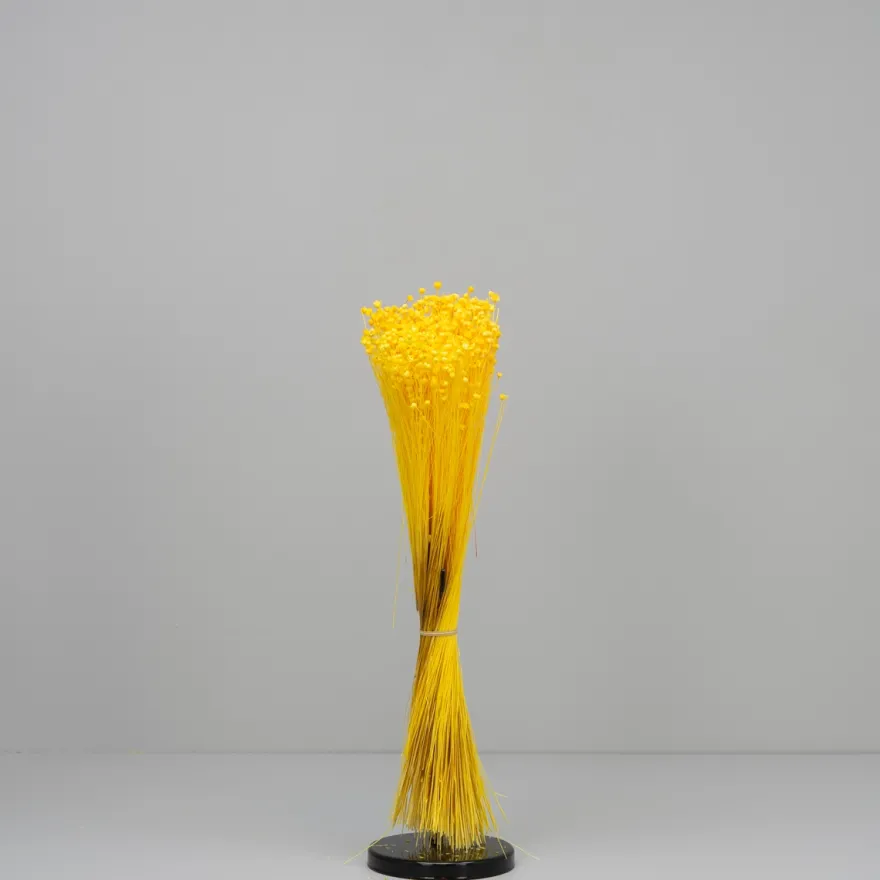 Tørrede Blomster - Jazilda Evighedsbuket, Gul (50 cm)