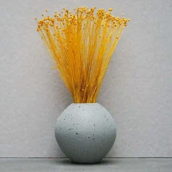 Tørrede Blomster - Jazilda Evighedsbuket, Gul (50 cm)