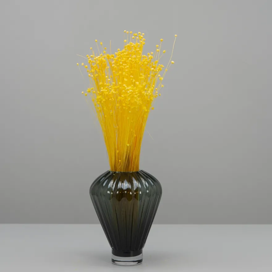Tørrede Blomster - Jazilda Evighedsbuket, Gul (50 cm)