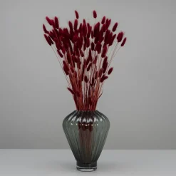 Tørrede Blomster - Lagurus, Bordeaux. XL bundt