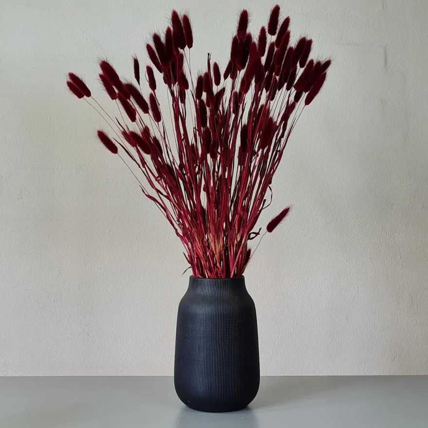 Tørrede Blomster - Lagurus, Bordeaux. XL bundt