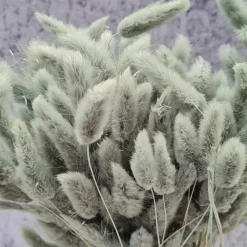 Tørrede Blomster - Lagurus, Grå/blå XL bundt