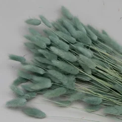 Tørrede Blomster - Lagurus, Grå/blå XL bundt