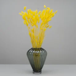 Tørrede Blomster - Lagurus, Gul. XL bundt