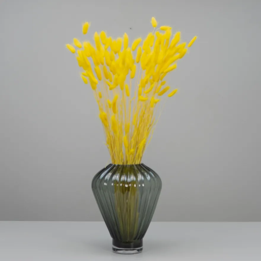 Tørrede Blomster - Lagurus, Gul. XL bundt