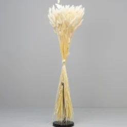 Tørrede Blomster - Lagurus, Hvid. XL bundt