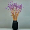 Tørrede Blomster - Lagurus, Lilac XL bundt