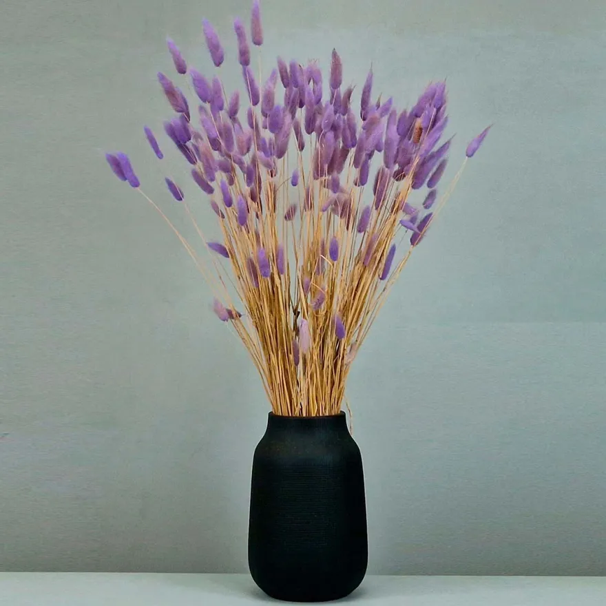 Tørrede Blomster - Lagurus, Lilac XL bundt