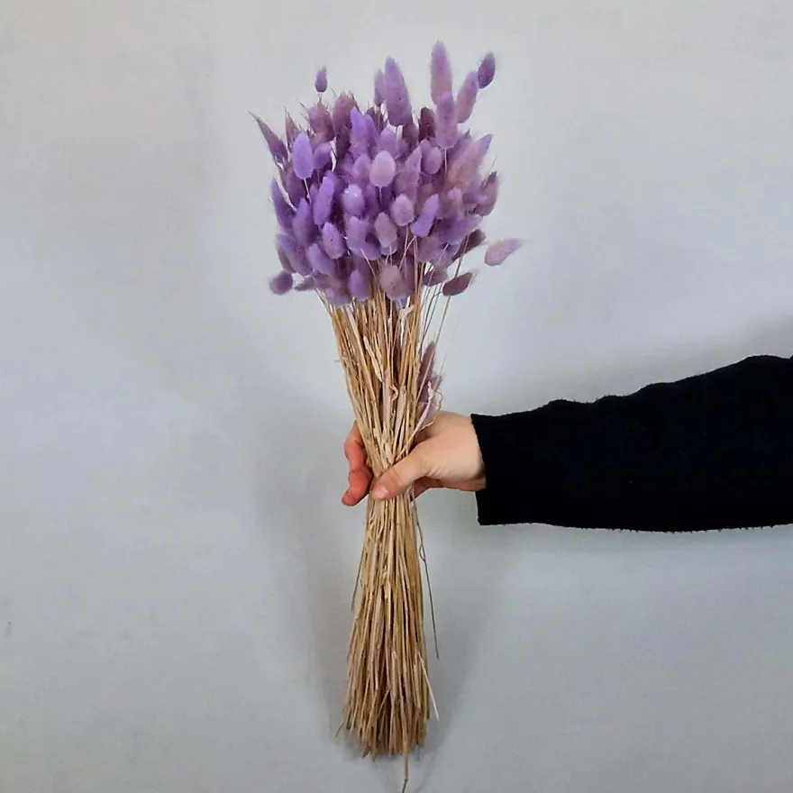 Tørrede Blomster - Lagurus, Lilac XL bundt