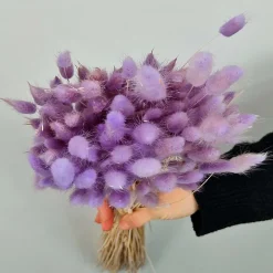 Tørrede Blomster - Lagurus, Lilac XL bundt
