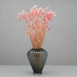 Tørrede Blomster - Lagurus, LYSERØD. XL bundt