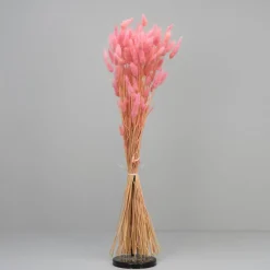 Tørrede Blomster - Lagurus, LYSERØD. XL bundt