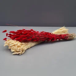 Tørrede Blomster - Lagurus - Mørkerød. XL bundt