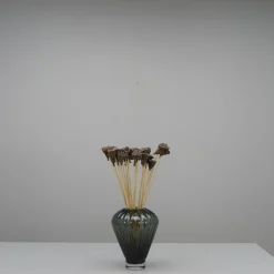 Tørrede Blomster - Mini Lotus, Natur