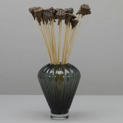Tørrede Blomster - Mini Lotus, Natur