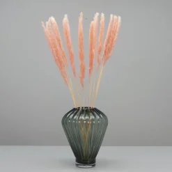 Tørrede Blomster - Mini pampasgræs - Pink