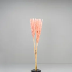 Tørrede Blomster - Mini pampasgræs - Pink