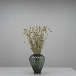 Tørrede Blomster - Phalaris, Grå