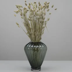 Tørrede Blomster - Phalaris, Grå