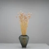 Tørrede Blomster - Phalaris, Powder Pink