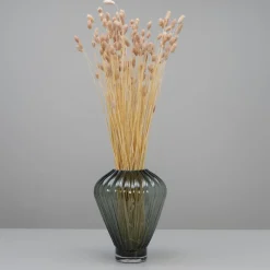 Tørrede Blomster - Phalaris, Powder Pink