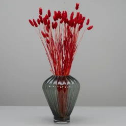 Tørrede Blomster - Phalaris - Rød