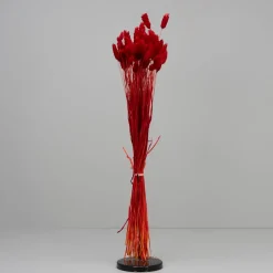 Tørrede Blomster - Phalaris - Rød