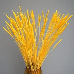 Tørrede Blomster - Phleum Gul