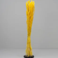 Tørrede Blomster - Phleum Gul