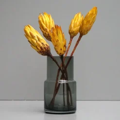 Tørrede Blomster - Protea, Gul. 5 stk
