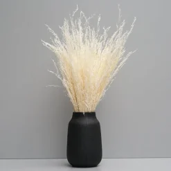 Tørrede Blomster - Stjernegræs, Hvid