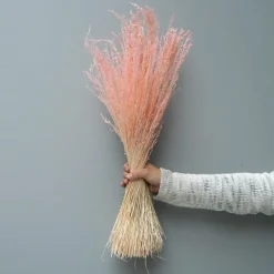 Tørrede Blomster - Stjernegræs, Lyserød
