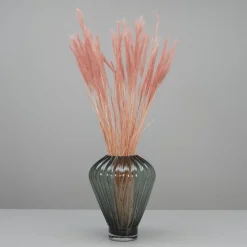 Tørrede Blomster - Tail Grass, Old Pink